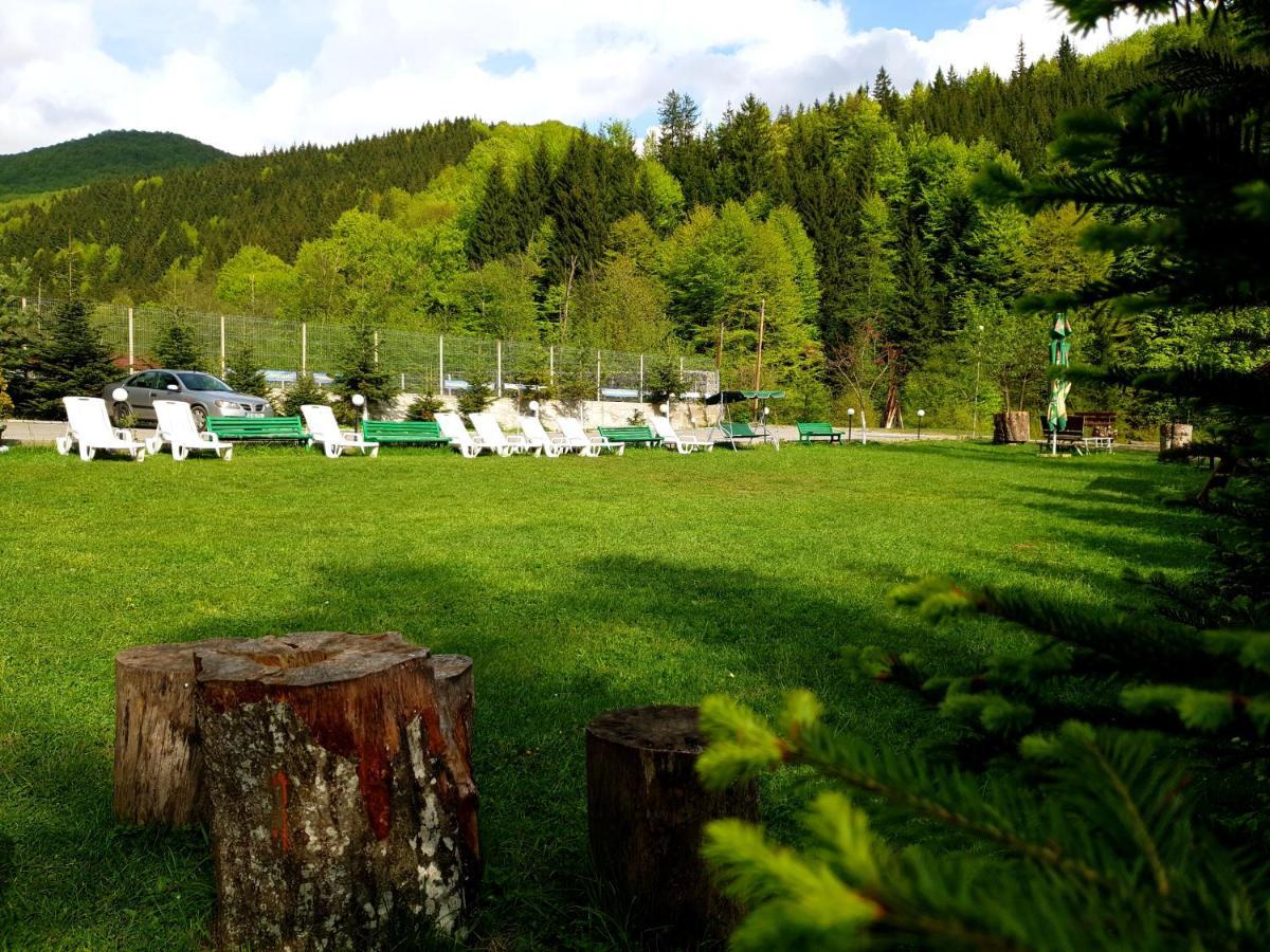 Pensiunea Valea Negrasului Trăisteni Exterior foto