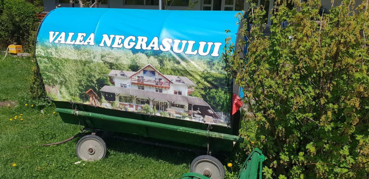 Pensiunea Valea Negrasului Trăisteni Exterior foto