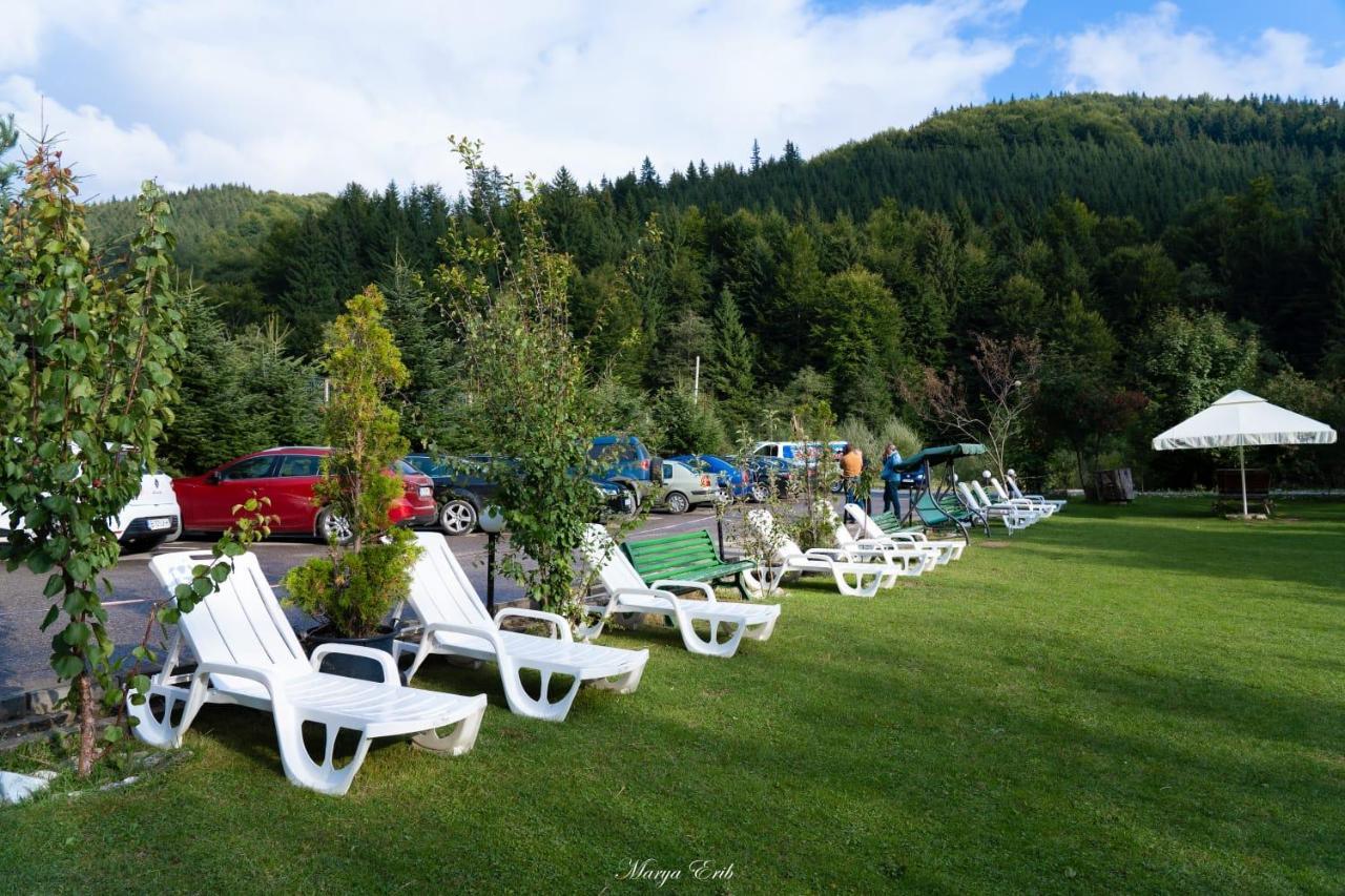 Pensiunea Valea Negrasului Trăisteni Exterior foto