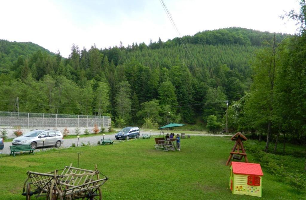 Pensiunea Valea Negrasului Trăisteni Exterior foto