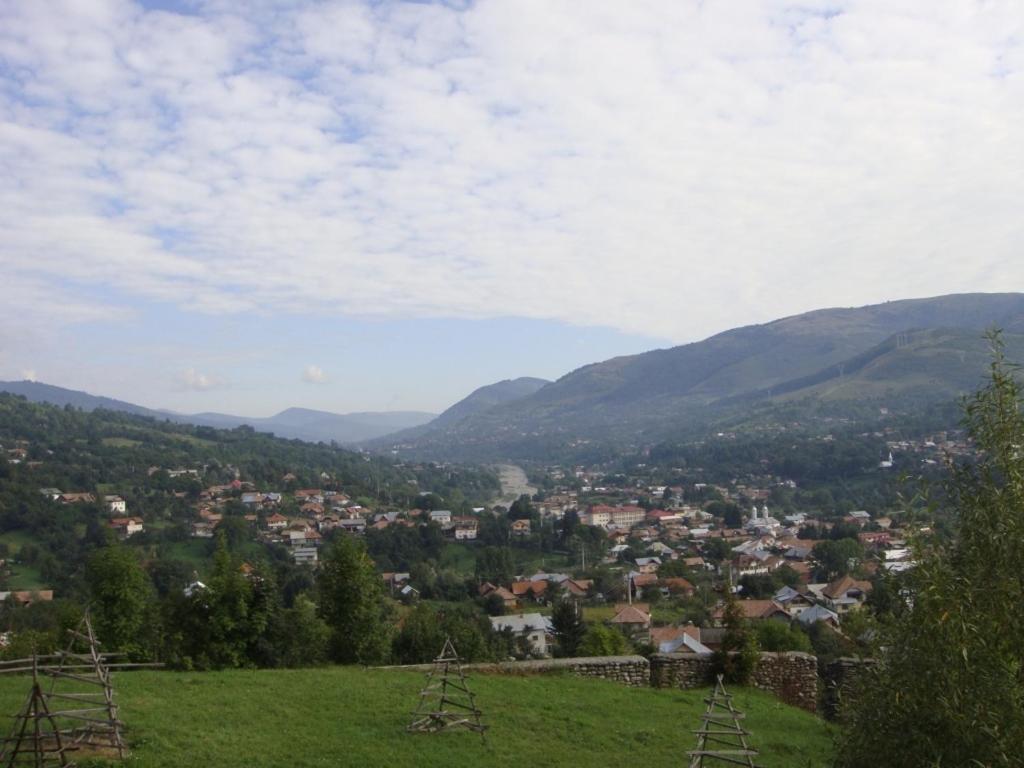 Pensiunea Valea Negrasului Trăisteni Exterior foto